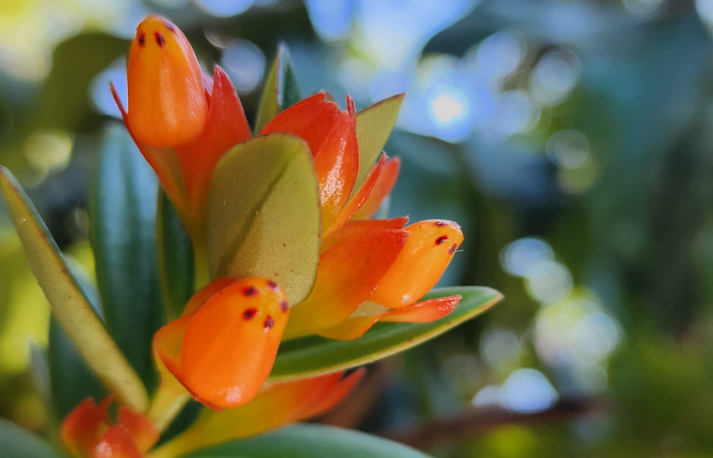 CACHOEIRA DO POÇO BONITO 1400X900 (13)