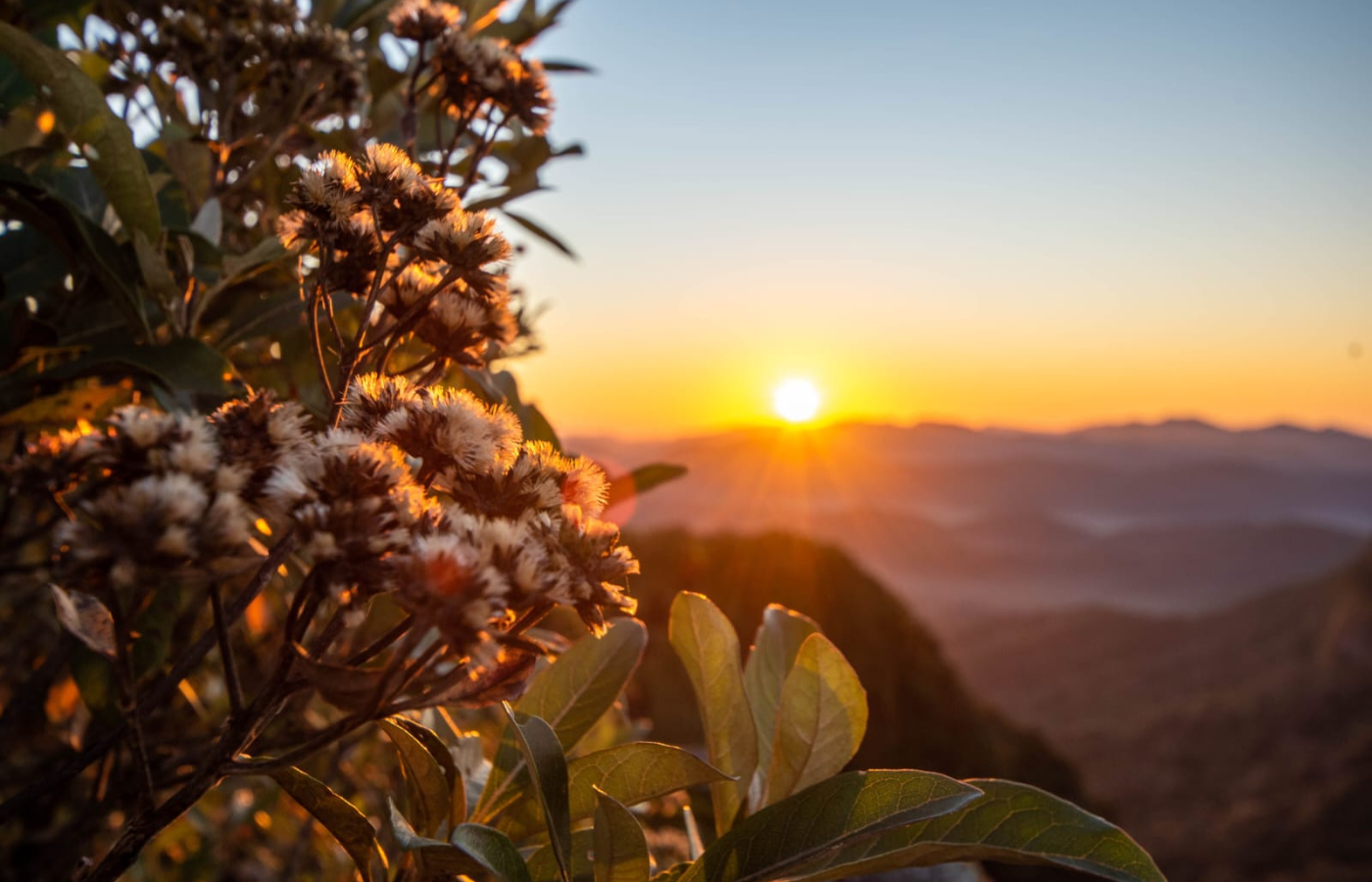PEDRA DE BORACÉIA 1400X900 (6)