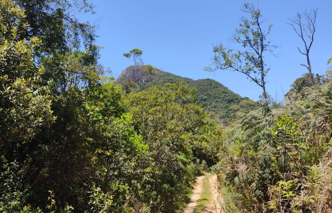 PEDRA DE QUATINGA 1400X900 (7)